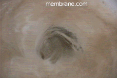 Cron Vortex visualization — Membrane.com research into a Universal Theorem